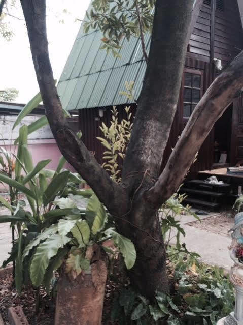 Bnr Resorts Bangkok Exteriör bild
